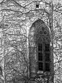 Picture Title - Window of an Abandoned Castle