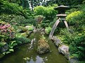 Picture Title - Japanese Garden One