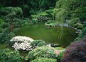 Picture Title - Japanese Garden Two