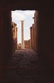 Picture Title - Inside roman theatre of Leptis Magna In Libia