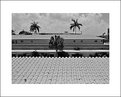 Picture Title - Rooftop, Ft. Lauderdale