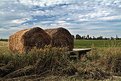 Picture Title - Hay