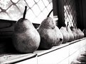 Picture Title - straight fruit