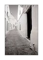 Picture Title - Pueblos Blancos I