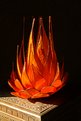 Picture Title - Virtual flames
