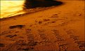 Picture Title - See you next summer...