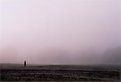 Picture Title - forlorn fog