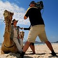 Picture Title - camel drivers wife