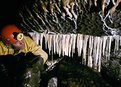 Picture Title - Straw Stalactites