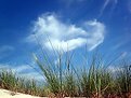 Picture Title - On the beach