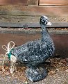 Picture Title - A Goose of No Use, With a Straw Caboose...