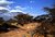 Afrika landscape - Samburu