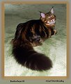 Picture Title - Buckwheat III