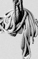 Picture Title - Rope 1