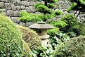 Picture Title - Hidden Pagoda at Odawara Castle, Japan