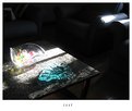 Picture Title - Glass #2