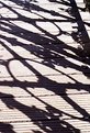 Picture Title - shadow of railing of a bridge
