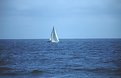 Picture Title - SailBoat on Ocean at Santa Monica Beach