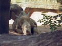 Picture Title - Relaxing in the sun
