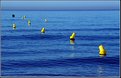 Picture Title - Bouys