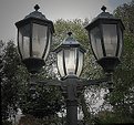 Picture Title - Street Lamps