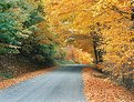 Picture Title - Blue Ridge Back Road