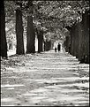 Picture Title - a walk in to a fall...