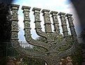 Picture Title - Menorah-Symbol of the World Creation