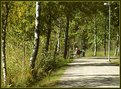 Picture Title - Old lady reading in the wood