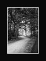Picture Title - Road to Nowhere, reprinted