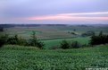 Picture Title - The Beauty of the Crops