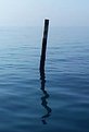 Picture Title - Pole in the Sea