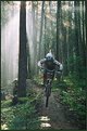 Picture Title - Biker in the Mist