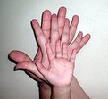 Picture Title - Hands of family