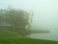 Picture Title - One foggy morning