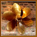 Picture Title - Propeller