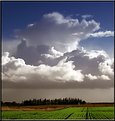 Picture Title - Sky and Fields