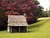 Cabin by the Road