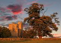 Picture Title - Castle and Tree