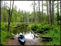 Picture Title - Bog Pond