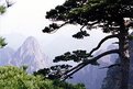 Picture Title - Huong Shan ( Yellow Mountain) - China