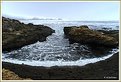 Picture Title - Point Lobos # 6