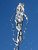 water or glass girl?