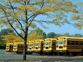 Picture Title - Fall color and those yellow buses!