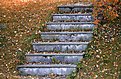 Picture Title - Autumn steps