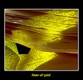 Picture Title - River of gold