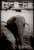 "all of a sudden I felt a longing for my elephants"