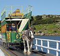 Picture Title - Granite Island Horse Tram