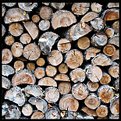 Picture Title - Wood Pile