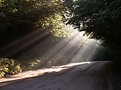 Picture Title - Sun Rays on Road